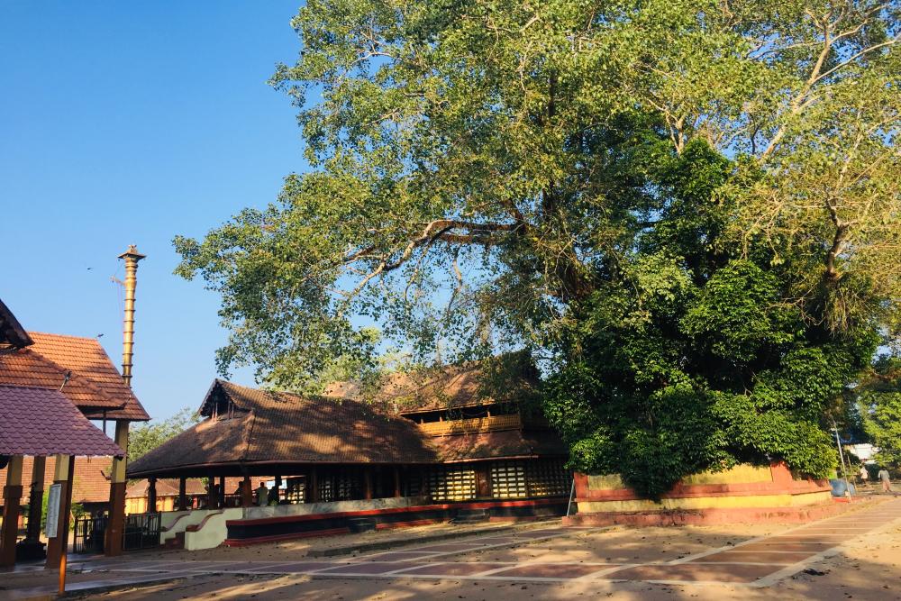 Mullakkal Rajarajeswari Temple.jpg